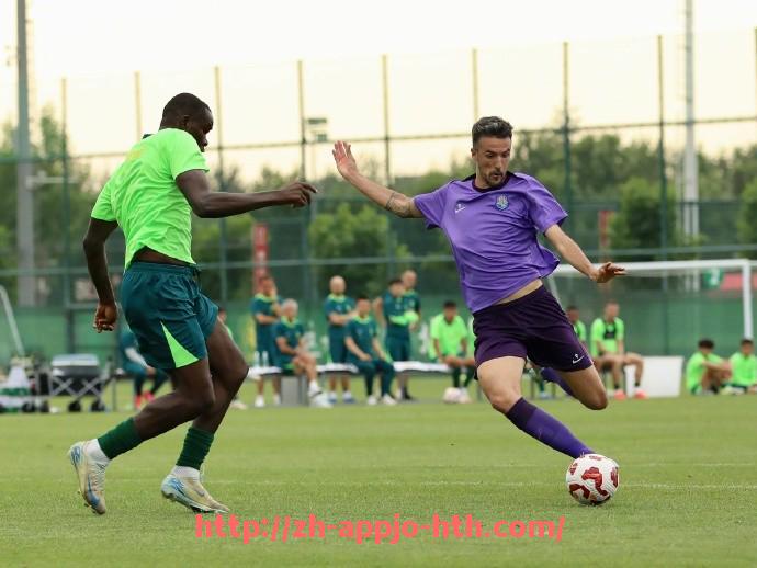 HTH华体会APP下载-英超诺维奇14号球员是谁?2025赛季表现详解