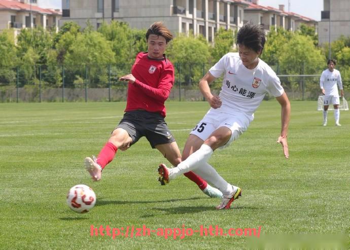 HTH华体会APP下载-火箭队球员卡佩拉的体重数据及体能分析